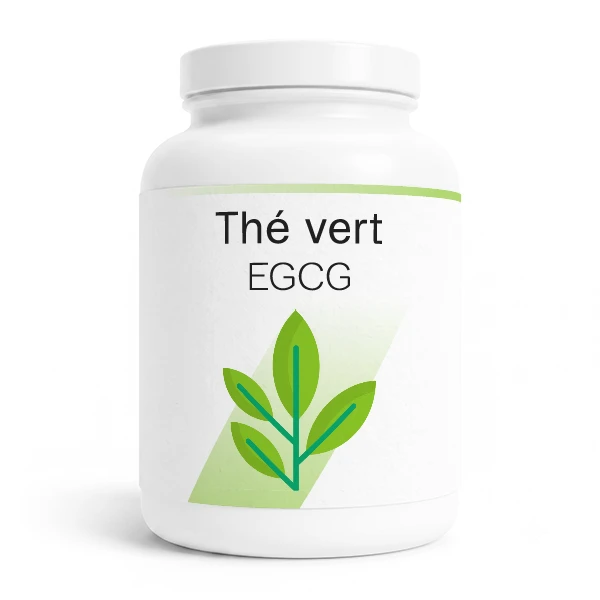 Thé vert EGCG